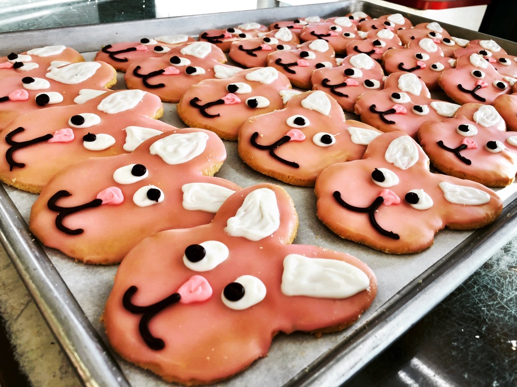 Easter Bunny Iced Cookies!